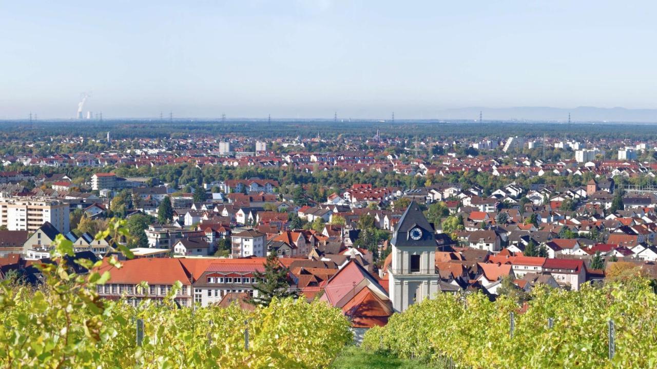 Grosse Ferienwohnung, Apartment In Leimen Wehome Komfort Exteriér fotografie